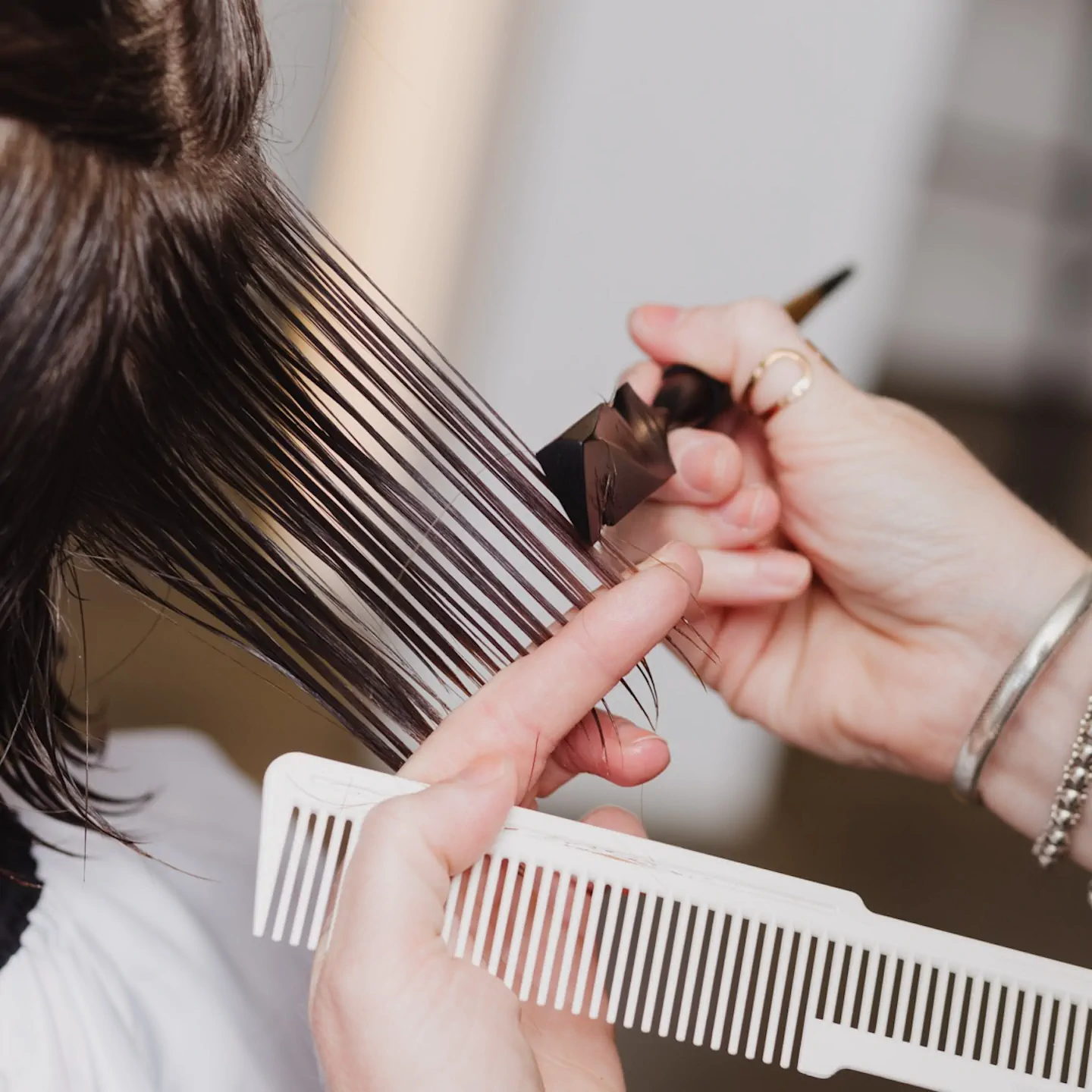 Calligraphy-Cut_1- Bonne_Beauté_Bonn